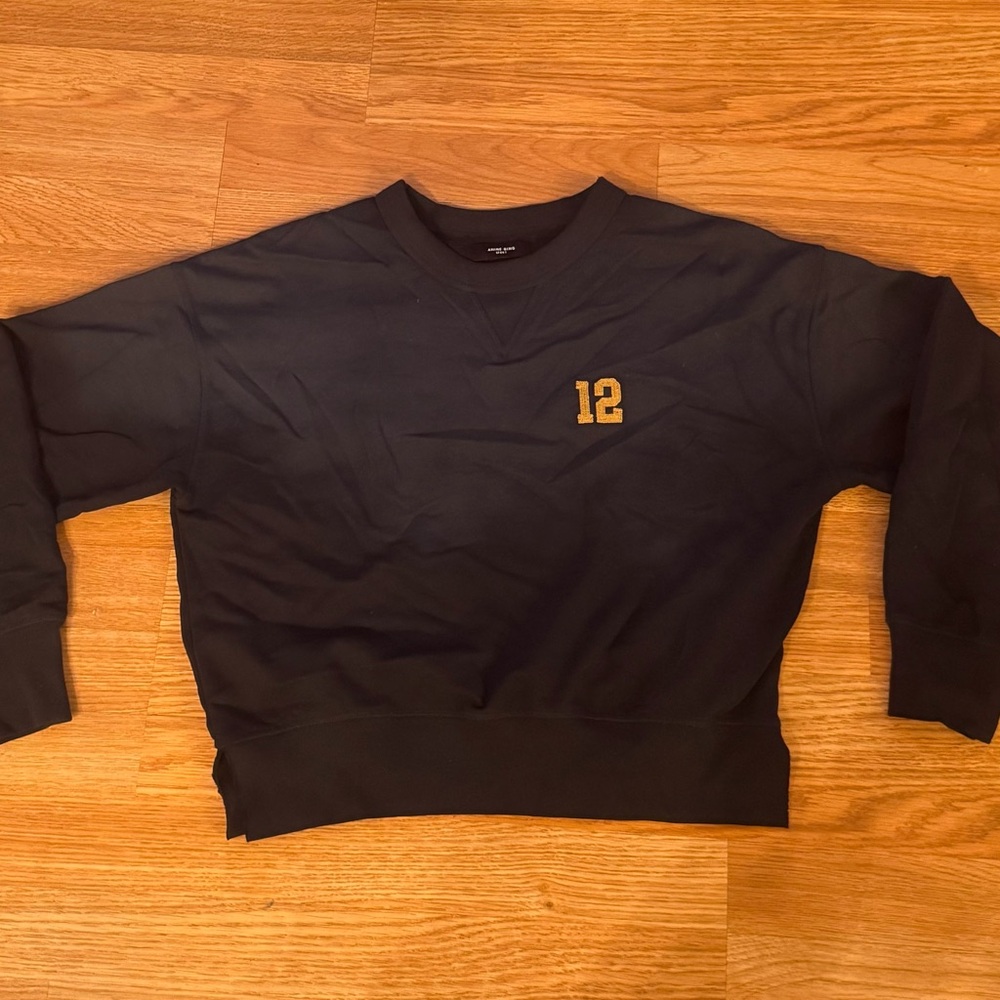 Anine Bing Ombre Sweatshirt